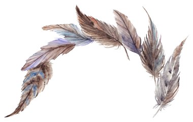 İzole suluboya gri gri mavi kahverengi tüyleri kompozisyon vektör