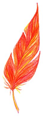 İzole kırmızı turuncu sarı kuş tüyü vektör tek