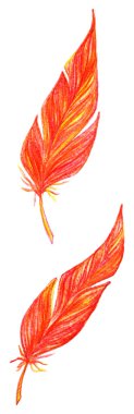 Kırmızı turuncu sarı kuş tüyleri izole vektör ayarla