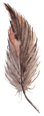 İzole suluboya kahverengi gri gri tek tüy vektör