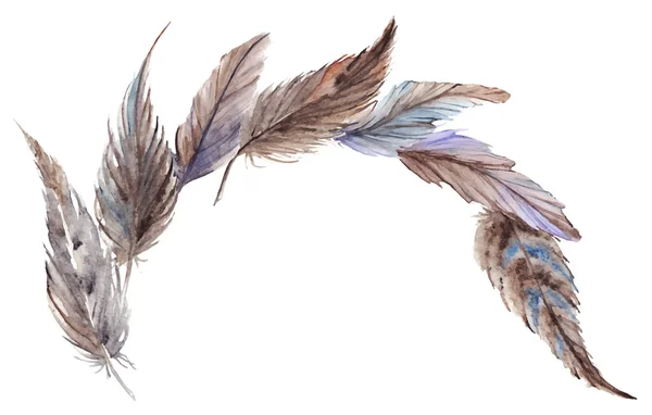 Акварель серо-голубые коричневые перья — стоковый вектор