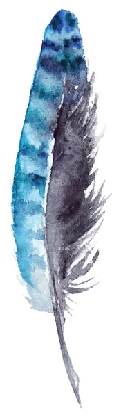 Aquarell schwarz und blau Eichelhäher Federvektor isoliert — Stockvektor