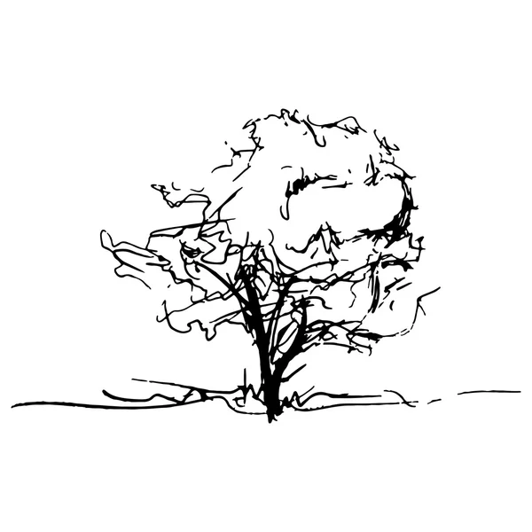Μονόχρωμη δέντρο σιλουέτα διάνυσμα σκιαγραφημένος γραμμικό σχέδιο απομονωμένο — Διανυσματικό Αρχείο