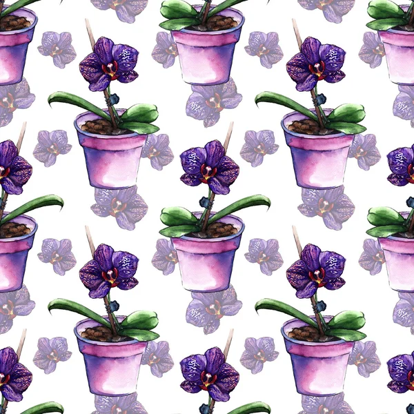 바이올렛 phalaenopsis 난초 꽃 원활한 패턴 질감 — 스톡 사진