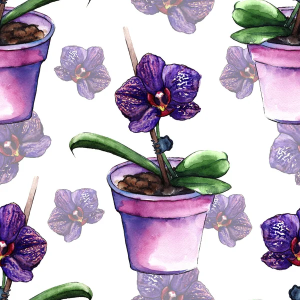 바이올렛 phalaenopsis 난초 꽃 원활한 패턴 질감 — 스톡 사진