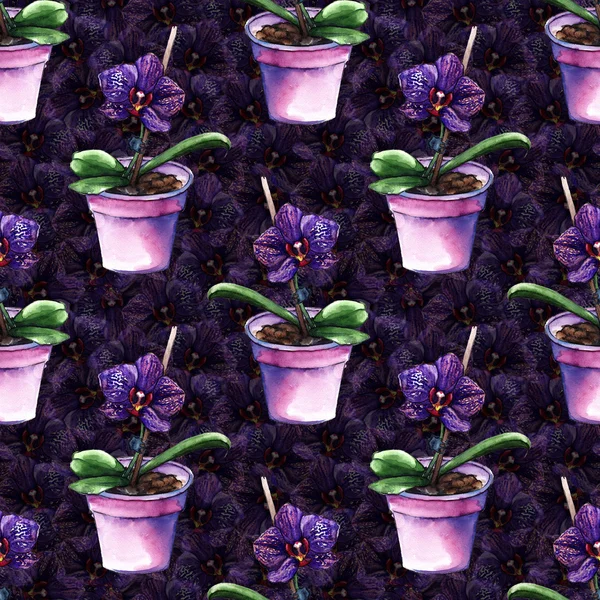 Violette Phalaenopsis Orchideenblume nahtlose Mustertextur — Stockfoto