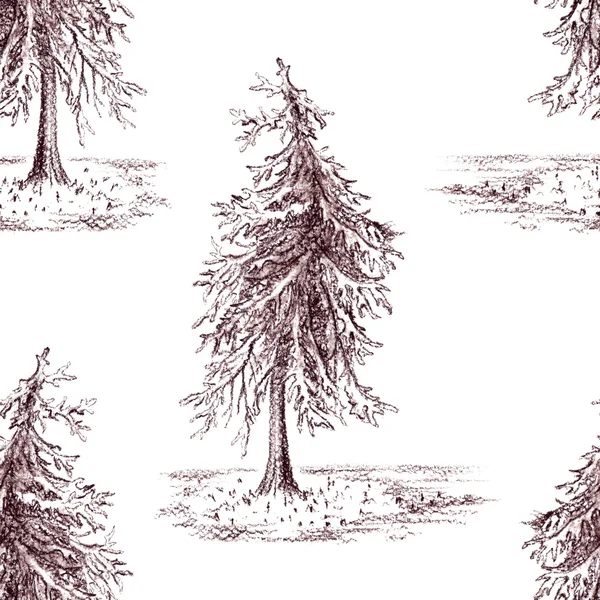 Σκιαγραφημένο πεύκο ερυθρελάτη δέντρο σέπια χωρίς ραφή πρότυπο φόντο — Φωτογραφία Αρχείου