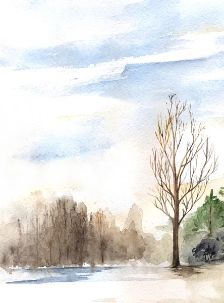 Suluboya bahar güneşli ahşap orman manzara sel