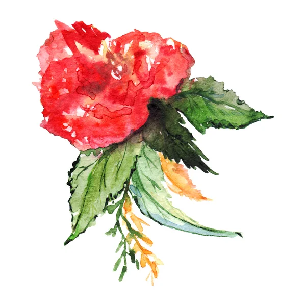 Aquarelle fleur floral boutonnière ensemble illustration isolée — Photo