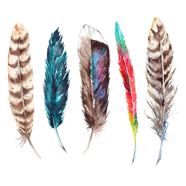 Watercolor colorful exotic bird feather set isolated — Stock Photo, Image