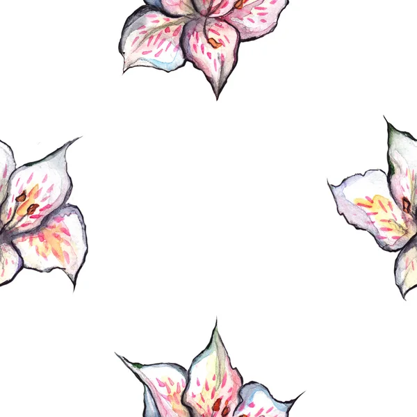 Sulu Boya alstroemeria çiçek Dikişsiz desen Tekstil arka plan