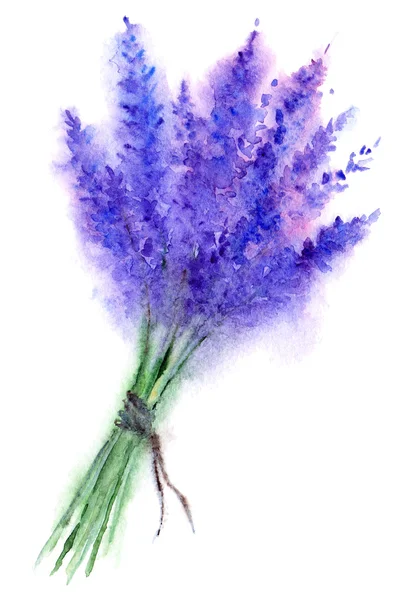 Aquarell Lavendel Blumen Blumenstrauß Skizze isoliert — Stockfoto