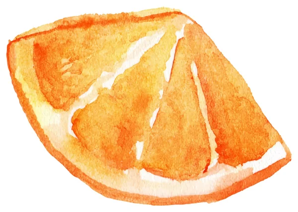 오렌지 과일 고립 된 벡터의 수채화 슬라이스 — 스톡 벡터