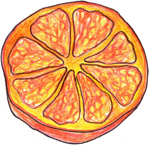Ескіз помаранчевого екзотичного шматочка фруктів рука намальована ізольовано — стокове фото