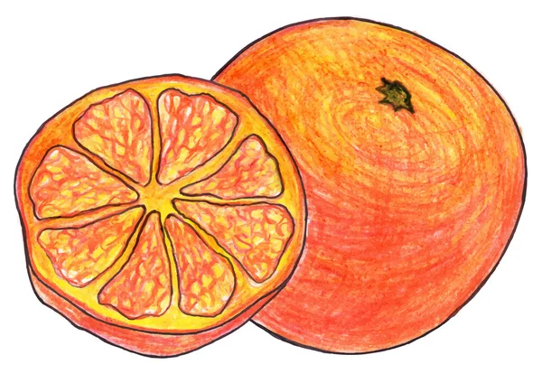 Esboço laranja fruta exótica e corte mão desenhado vetor isolado — Vetor de Stock