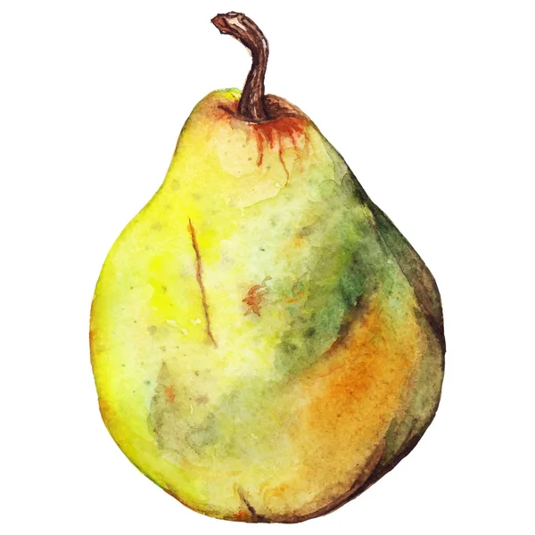 Aquarelle jaune vert poire fruits mûrs vecteur isolé — Image vectorielle