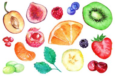 Sulu Boya egzotik meyve berry dilim set izole vektör