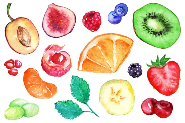 水彩的异国水果浆果片集孤立的矢量 — 图库矢量图片