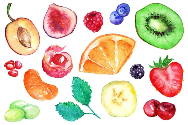 Sulu Boya egzotik meyve berry dilim set izole vektör