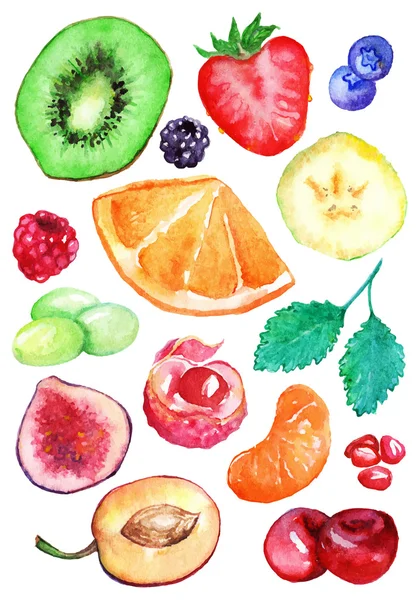 Sulu Boya egzotik meyve berry dilim set izole vektör — Stok Vektör