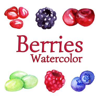 Suluboya nar böğürtlen kiraz üzüm ahududu yaban mersini izole vektör ayarla