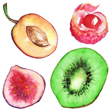 Suluboya incir Erik Çin kivi izole vektör ayarla