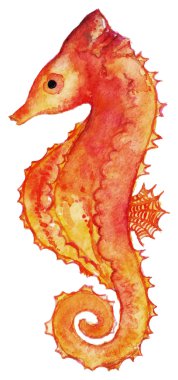 Suluboya denizatı kırmızı sarı turuncu izole klip sanat vektör