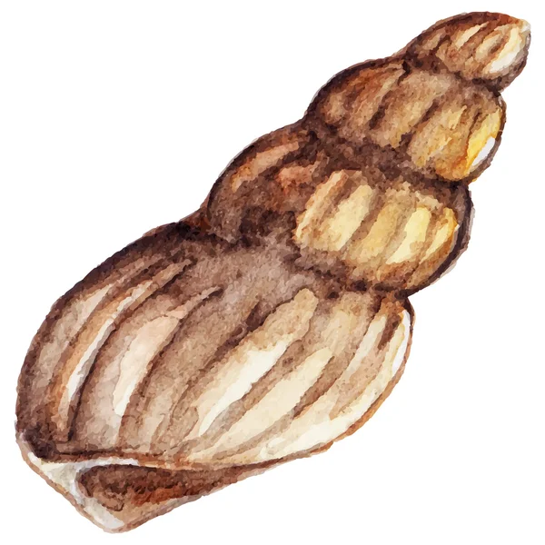 Aquarel zee shell geïsoleerde clip art vector — Stockvector