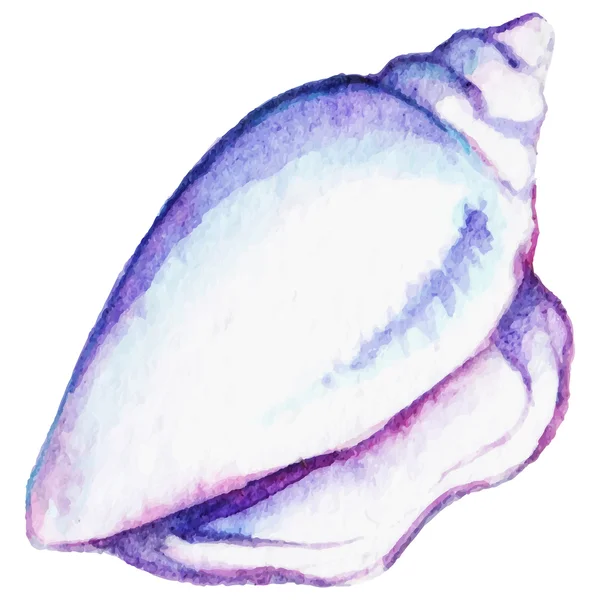 Watercolor shell mare isolato clip art vettore — Vettoriale Stock