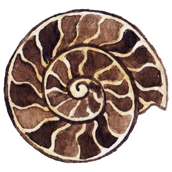 Watercolor mare shell ammonit isolato clip art vettore — Vettoriale Stock