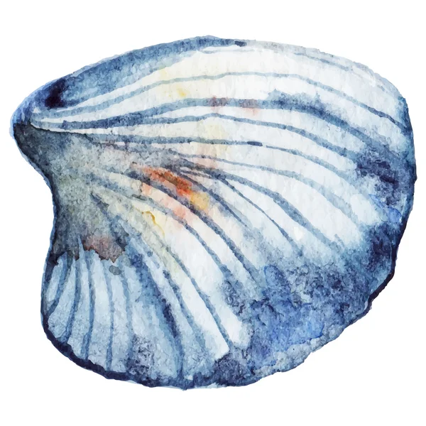 Aquarel zee shell geïsoleerde clip art vector — Stockvector