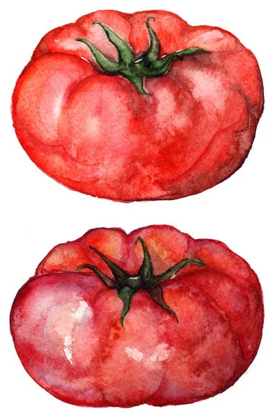 Ensemble de légumes de tomate mûre rouge aquarelle isolé — Photo