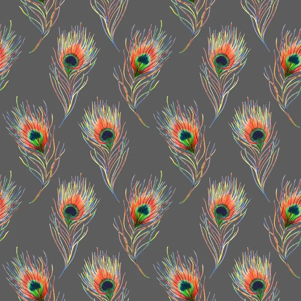 Rainbow colorful peacock bird feather seamless pattern background texture — Stock Photo, Image
