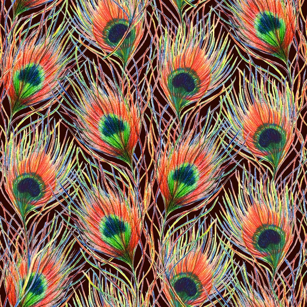 Regenbogen bunt Pfau Vogel Feder nahtlose Muster Hintergrund Textur — Stockfoto