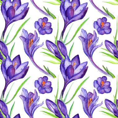 Suluboya menekşe mor Çiğdem çiçek Dikişsiz desen arka plan