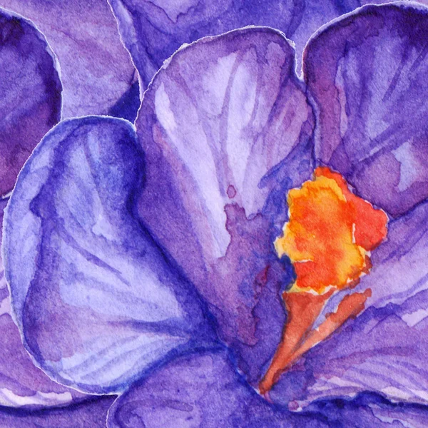 Watercolor violet purple crocus flower seamless pattern background — Stock Photo, Image