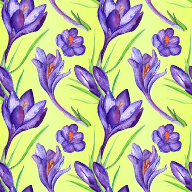 Suluboya menekşe mor Çiğdem çiçek Dikişsiz desen arka plan