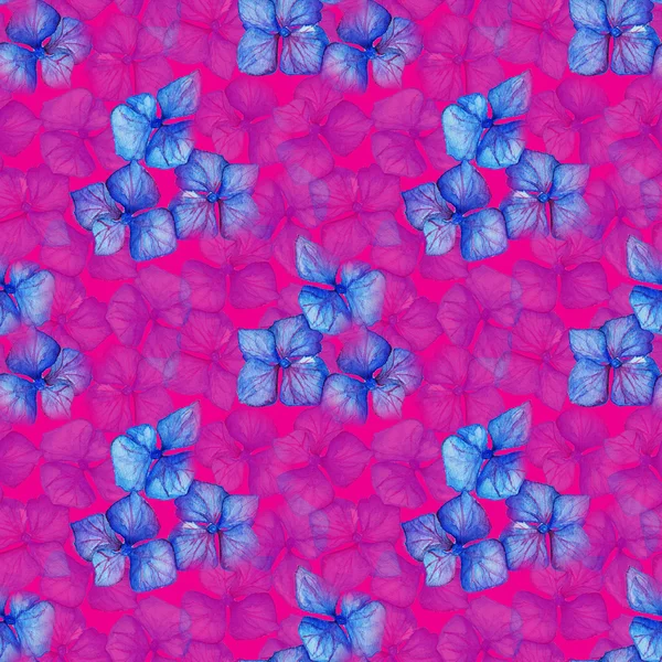 紫のアジサイを青花組成のシームレスなパターン背景テクスチャ — ストック写真