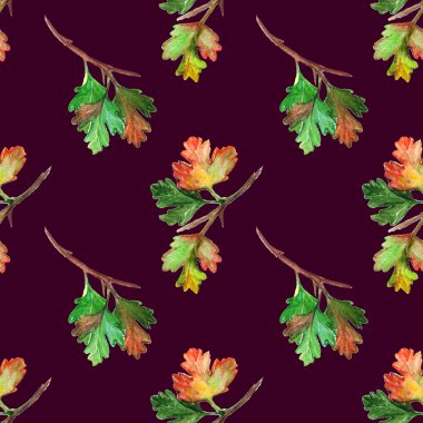 Suluboya bektaşi üzümü yaprağı dal Dikişsiz desen doku arka plan