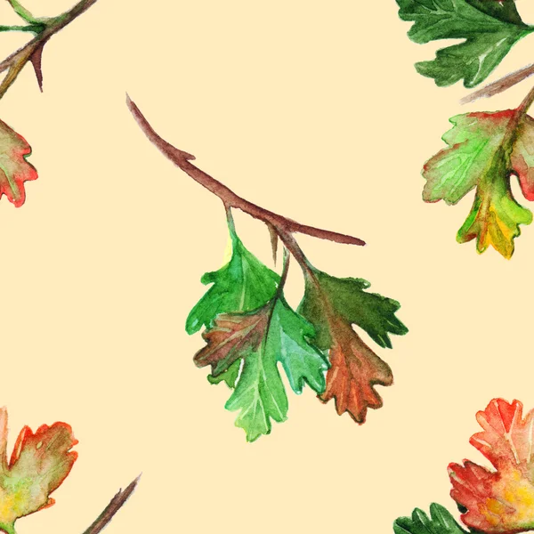 수채화 구 세 잎 지점 원활한 패턴 질감 배경 — 스톡 사진
