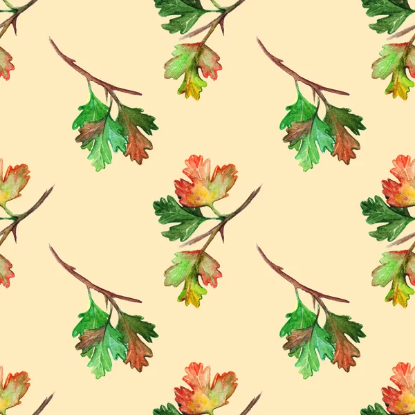 Акварельна гілка листя агрусу безшовний візерунок текстури фону — стокове фото