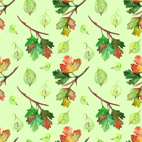 수채화 구 즈 베리 베리 잎 지점 원활한 패턴 질감 배경 — 스톡 사진