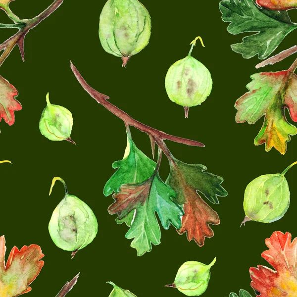 Aquarel kruisbes berry blad tak naadloze patroon textuur achtergrond — Stockfoto