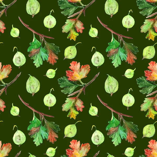 수채화 구 즈 베리 베리 잎 지점 원활한 패턴 질감 배경 — 스톡 사진