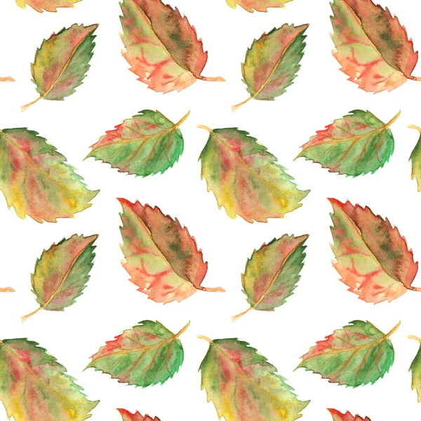 가을 녹색 노란 빨강 잎 원활한 패턴 질감 배경 — 스톡 사진