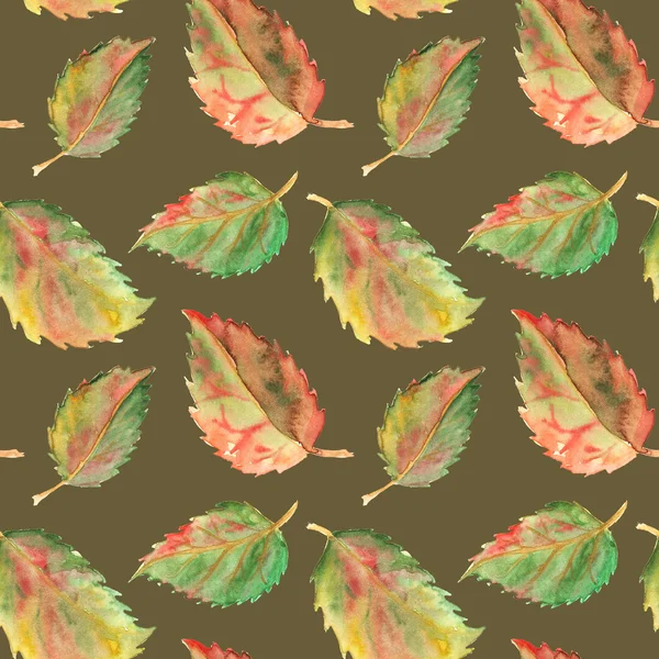 Autumn green yellow red leaves seamless pattern texture background — Stock Photo, Image