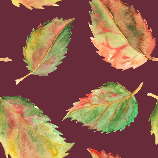 Autunno verde giallo rosso foglie senza soluzione di continuità modello texture sfondo — Foto Stock