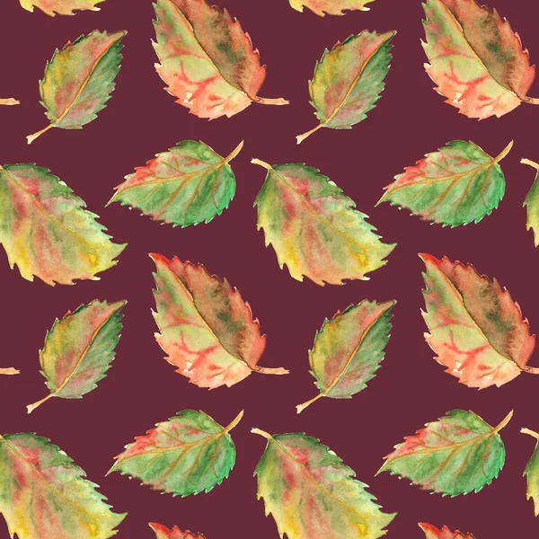 秋绿黄红叶无缝图案纹理背景 — 图库照片