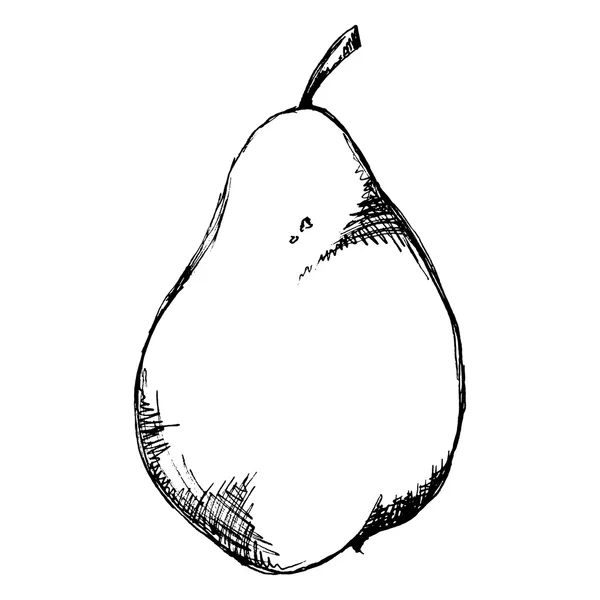 Monochroom pear fruit getekende lijn vector kunst — Stockvector