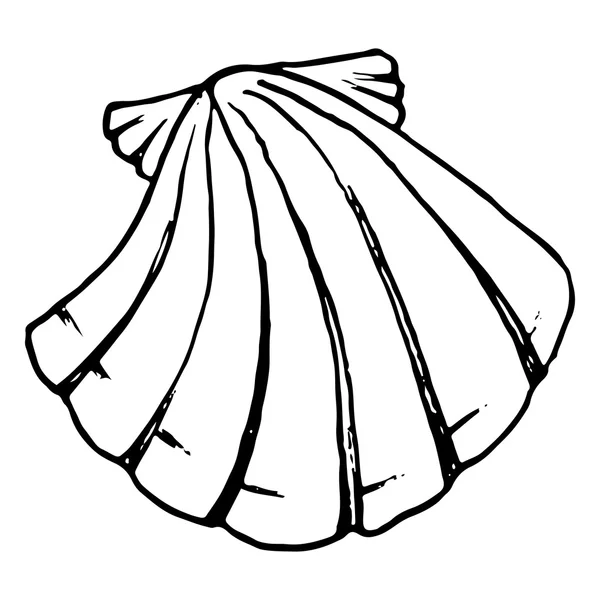 Monochroom zee shell getekende lijn vector kunst — Stockvector